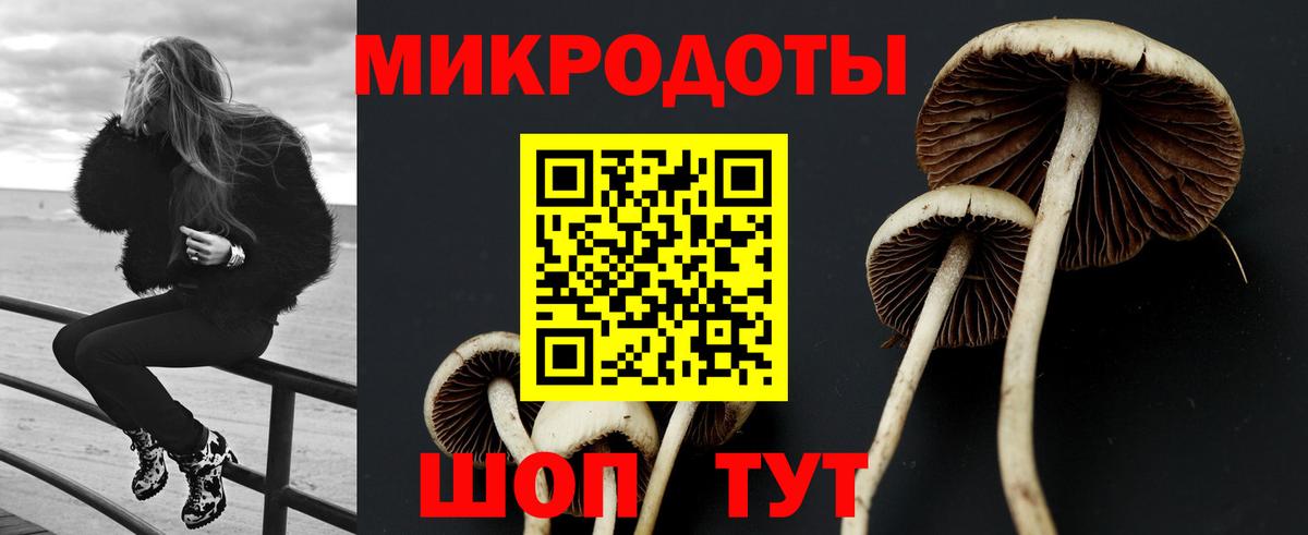 Галлюциногенные грибы мухоморы Майский